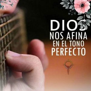 Meet your Posher, Rhina